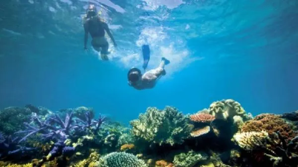 snorkeling_di_BELITUNG